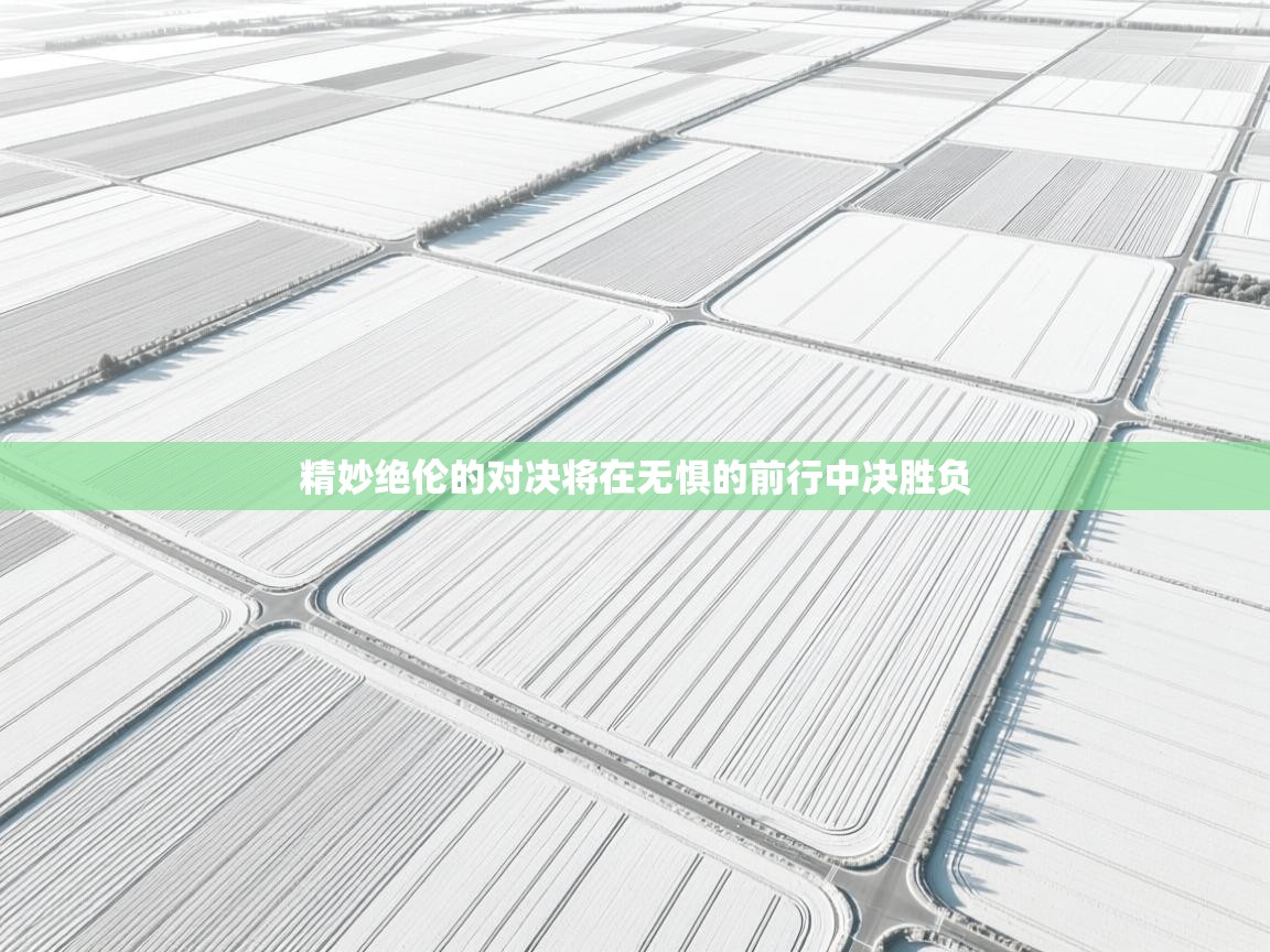 精妙绝伦的对决将在无惧的前行中决胜负  第1张