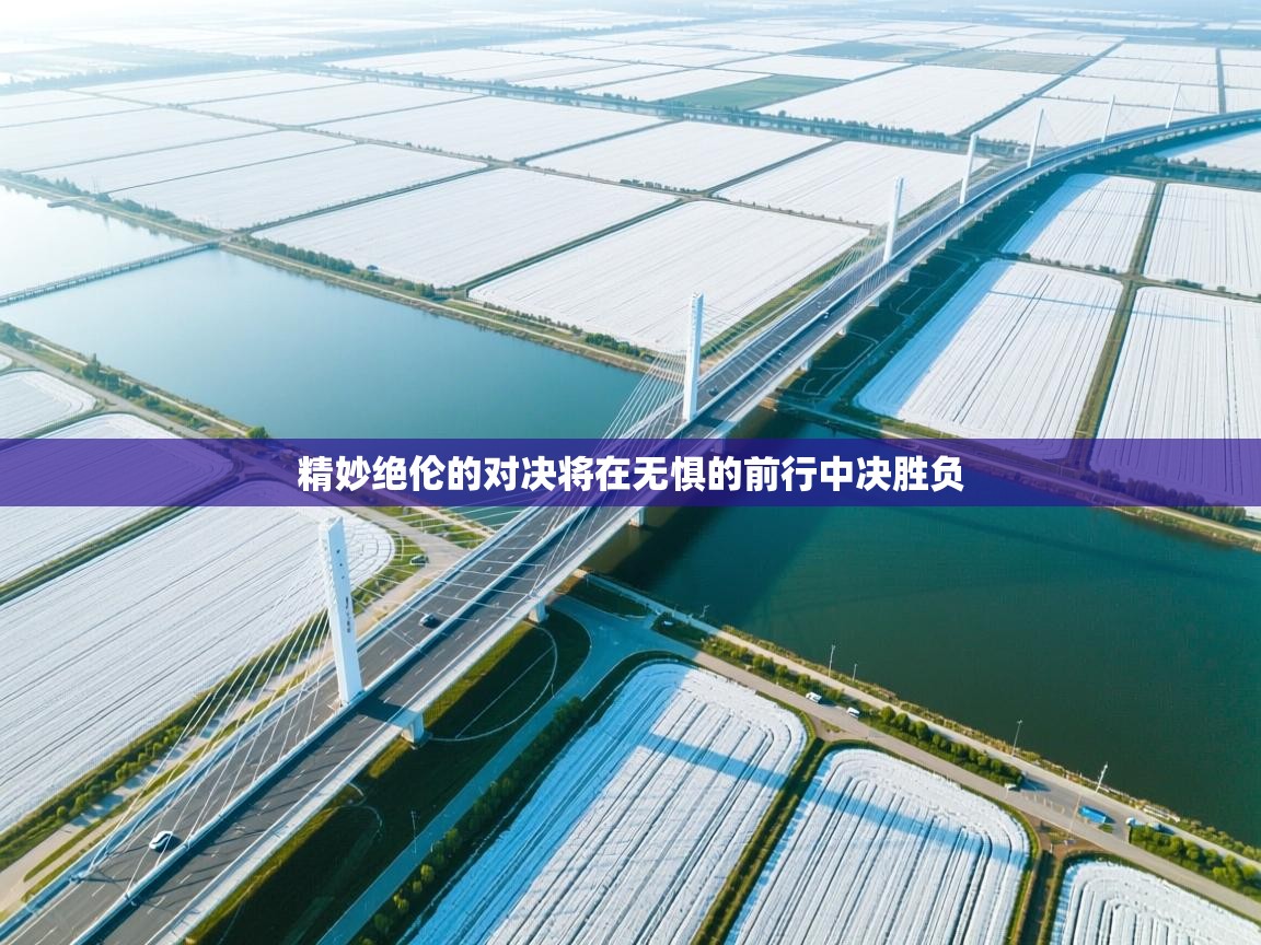 精妙绝伦的对决将在无惧的前行中决胜负  第2张