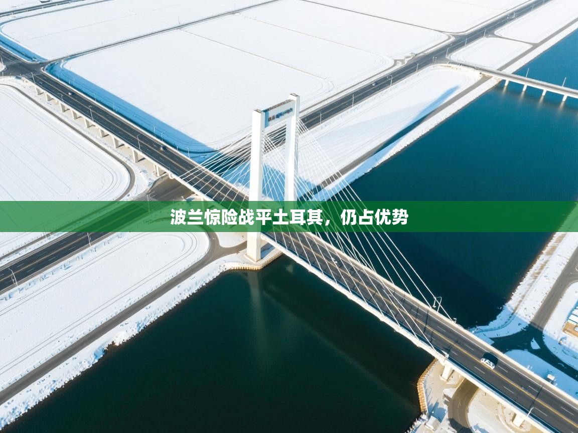 波兰惊险战平土耳其，仍占优势  第1张