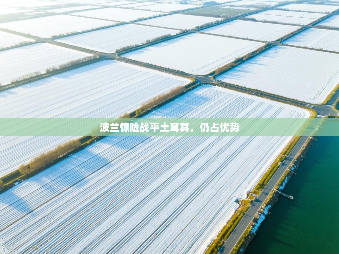 波兰惊险战平土耳其，仍占优势  第2张