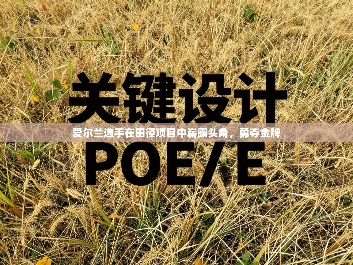 爱尔兰选手在田径项目中崭露头角,勇夺金牌 第2张