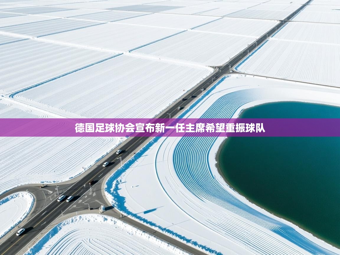 德国足球协会宣布新一任主席希望重振球队 第1张