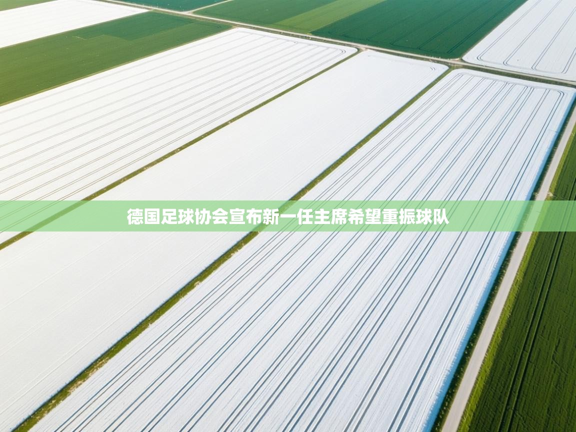 德国足球协会宣布新一任主席希望重振球队 第2张